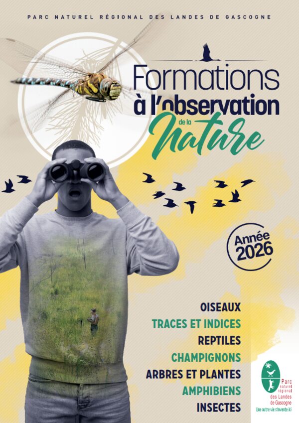 Formation à l&rsquo;observation de la nature – PNR Landes de Gascogne