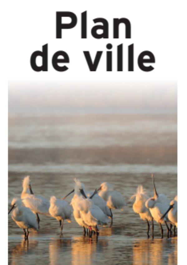 Plan de ville du Teich