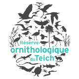 Réserve ornithologique du Teich